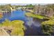 Overhead view of a serene pond surrounded by lush vegetation at 2509 Estancia Blvd, Clearwater, FL 33761