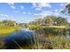 Scenic pond with lush greenery, reflecting the blue sky and surrounding trees at 2509 Estancia Blvd, Clearwater, FL 33761