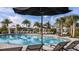 A beautiful community pool with lounge chairs, umbrellas, cabanas, and lush tropical landscaping with mature palm trees at 29924 Rusco Ct, Wesley Chapel, FL 33545