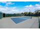 Outdoor pickleball court with green fence and surrounding trees and blue sky at 334 Club Manor Dr, Sun City Center, FL 33573