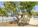 Backyard of single story home with privacy fence and a beautiful shady tree at 4408 W Lackland Pl, Tampa, FL 33616