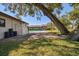 Backyard view featuring a pool and large trees, offering shade and outdoor enjoyment at 4609 W San Miguel St, Tampa, FL 33629