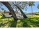 Backyard view featuring large trees that offer privacy and a sense of nature at 4609 W San Miguel St, Tampa, FL 33629