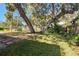 Spacious backyard featuring lush greenery and mature trees, offering privacy at 4609 W San Miguel St, Tampa, FL 33629