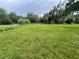 Picture of the backyard with a chain link fence at 9707 Lithia Pinecrest Rd, Lithia, FL 33547