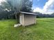 Charming shed with a white door nestled in a lush green yard at 9707 Lithia Pinecrest Rd, Lithia, FL 33547