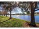 Scenic water view from property featuring grassy shore, trees and sunlight at 1411 Water View W Dr, Largo, FL 33771