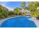 Backyard swimming pool surrounded by lush tropical landscaping with a variety of palms and greenery at 1859 Nevada Ne Ave, St Petersburg, FL 33703