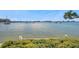 Calm waters offer a tranquil view, enhanced by coastal vegetation and clear skies at 4775 Cove Cir # 205, St Petersburg, FL 33708