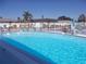 Community pool with crystal clear water, surrounded by white fence, lounge chairs and palm trees at 7729 39Th N Ter, St Petersburg, FL 33709