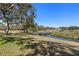 View of backyard with a large tree extending over a grassy lawn and small pond at 11410 Carriage Hill Dr # 3, Port Richey, FL 34668