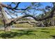 Scenic backyard view showcasing lush greenery, large tree branches, and a serene pond reflecting the blue sky at 11410 Carriage Hill Dr # 3, Port Richey, FL 34668