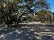 Street view of condos surrounded by mature trees offering plenty of shade at 11723 Raintree Village Blvd # B, Temple Terrace, FL 33617