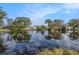 Scenic view of a calm pond reflecting the sky, surrounded by trees and lush vegetation at 239 Freeport Ne Ave, St Petersburg, FL 33702