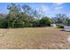 Large backyard with grass and a storage shed in the background at 6353 Spring Hill Dr, Spring Hill, FL 34606