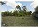 Wide view of the spacious backyard, newly planted trees, and partial fence line at 1018 Blakley St, Punta Gorda, FL 33980