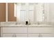 Elegant bathroom featuring double sinks, a vanity, and contemporary design at 11239 E 65Th Ter, Palmetto, FL 34221