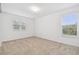 Bright and airy bedroom featuring carpet flooring and two bright windows at 13729 Evergreen Valley Dr, Riverview, FL 33578