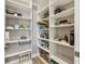 Walk-in pantry with ample shelving space at 18 Franklin S Ct # D, St Petersburg, FL 33711