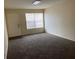 Living room featuring neutral walls, gray carpeting, and lots of natural light at 5924 Brickleberry Ln # 101, Zephyrhills, FL 33541