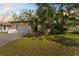 Charming home exterior with a well-maintained lawn and lush tropical landscaping for curb appeal at 13815 Capitol Dr, Tampa, FL 33613