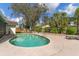 Landscaped backyard features a sparkling pool, patio area, and lush foliage, creating a tranquil retreat at 13815 Capitol Dr, Tampa, FL 33613