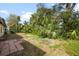 A large backyard with mature trees and a paver area at 1624 Barry Rd, Clearwater, FL 33756