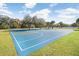 Outdoor community basketball court with trees in the background at 19131 Weymouth Dr, Land O Lakes, FL 34638