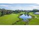 Panoramic aerial view of a pond surrounded by trees at 36806 Niles Dr, Zephyrhills, FL 33542