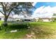 View of the backyard featuring a trampoline and a well maintained lawn at 5106 Tanner Rd, Spring Hill, FL 34609