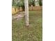 A grassy backyard area features a weathered utility pole at 910 Seminole St, Clearwater, FL 33755