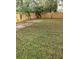 Green backyard with full perimeter fence at 910 Seminole St, Clearwater, FL 33755