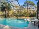 Inviting backyard oasis featuring a refreshing swimming pool, spa, and tranquil wooded views at 1011 Riverside Ridge Rd, Tarpon Springs, FL 34688