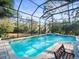 Sparkling pool surrounded by a screened enclosure provides a refreshing oasis with peaceful backyard views at 1011 Riverside Ridge Rd, Tarpon Springs, FL 34688