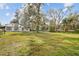 Lush backyard featuring a well-manicured lawn and mature trees at 14329 14Th St, Dade City, FL 33523