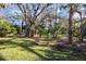 A lush green backyard with mature trees and native landscaping, offering privacy and shade at 4549 Chinkapin Dr, Sarasota, FL 34232