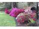 Charming landscape displays vibrant azalea bushes in varying shades of pink and lush greenery enhancing curb appeal at 5443 Ott Ct, Spring Hill, FL 34608