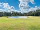 Scenic view of a calm pond framed by green grass and mature trees on a sunny day at 7705 W Four Pines Rd, Plant City, FL 33565