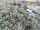 An aerial view of the property showing the house and a detached garage surrounded by trees at 12950 Lincoln Rd, Riverview, FL 33578