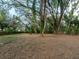 Large backyard with natural landscaping, mature trees, and an open, inviting space at 12950 Lincoln Rd, Riverview, FL 33578