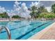 Large community pool with lounge chairs and umbrellas, surrounded by lush greenery at 13854 Thoroughbred Dr, Dade City, FL 33525