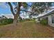 Spacious backyard featuring mature trees, lush greenery and well maintained lawn at 2449 E Del Webb Blvd, Sun City Center, FL 33573