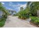 Expansive driveway leading to a well-maintained home with lush tropical landscaping and mature palm trees at 5114 N Branch Ave, Tampa, FL 33603