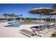 Beautiful pool area offers comfortable lounge seating and shade structures with lush tropical landscaping at 6206 Timberdale Ave, Wesley Chapel, FL 33545