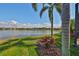 Picturesque lake view from the property with lush landscaping and palm trees at 7328 Paradiso Dr, Apollo Beach, FL 33572
