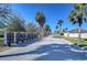 Quiet residential street lined with palm trees and community mailboxes at 11117 Abaco Island Ave, Riverview, FL 33579