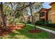 Scenic community view with well-manicured lawns, mature trees, and inviting walkways between the residential buildings at 2171 Portofino Place # 27-2725, Palm Harbor, FL 34682