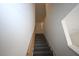 View of the carpeted staircase with wooden handrail leading to the upper level of the home at 2411 Paravane Way, Wesley Chapel, FL 33543
