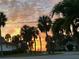 A beautiful view of the street during a golden sunset, lined with lush tropical palm trees at 741 Mandalay Ave, Clearwater Beach, FL 33767