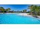 Community pool with tanning deck and splash pad, surrounded by palm trees on a sunny day at 11751 Moonsail Dr, Parrish, FL 34219